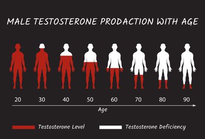 Male Hormones